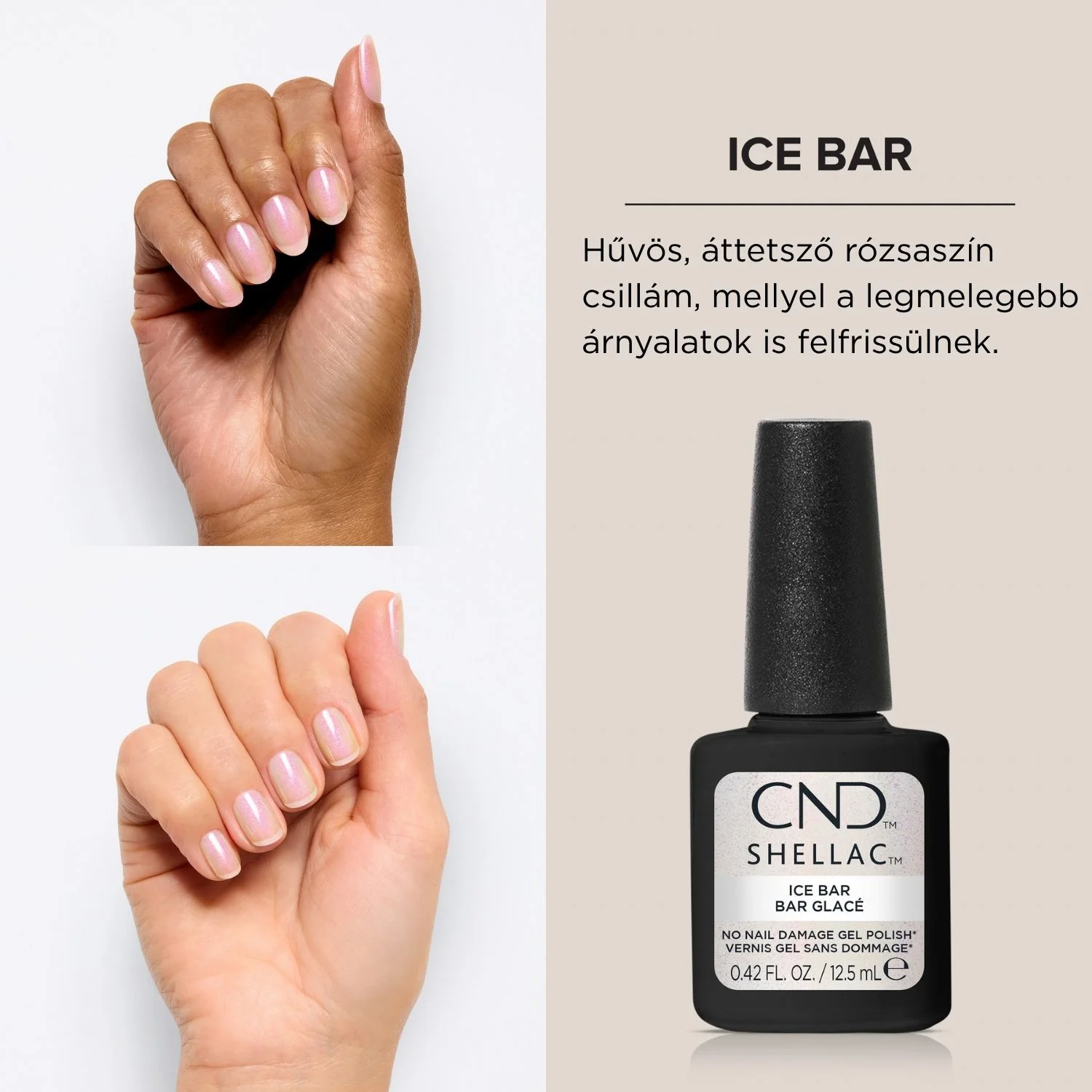 ice bar